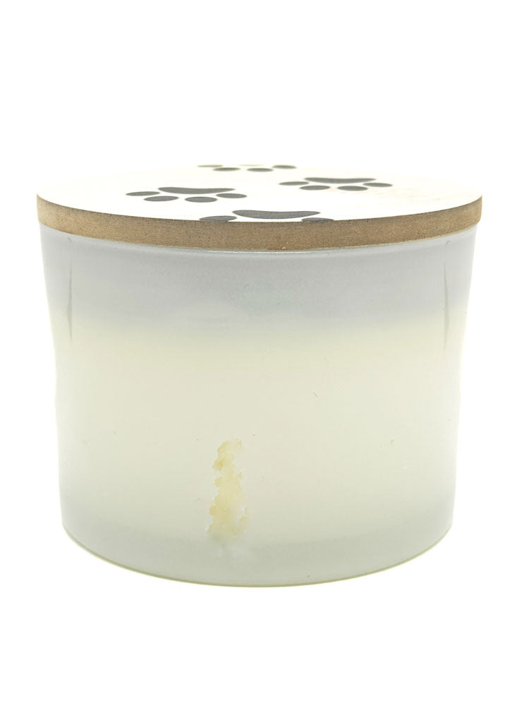 Golden Nutmeg Scented Candle | SAND + PAWS