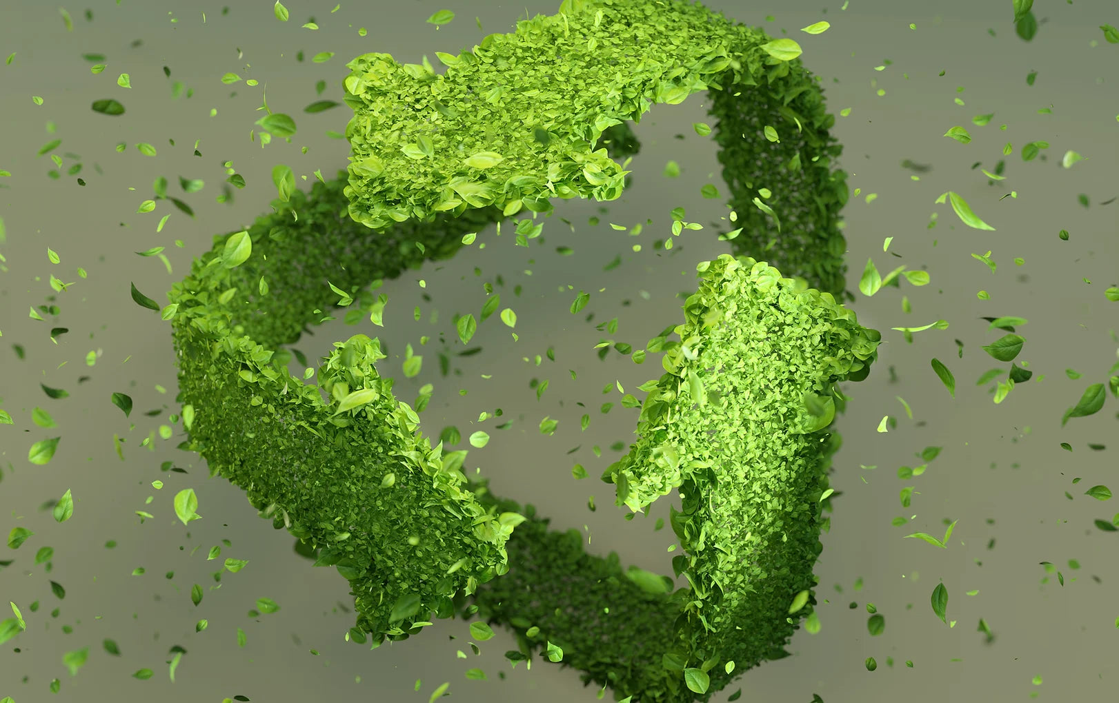 Reduce - Recycle - Reuse - Refill - Repurpose