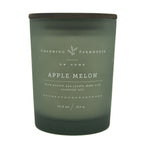 Apple Melon Scented Candle - 414g | DW Home