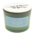 Eucalyptus Spearmint Scented Candle | SAND + FOG