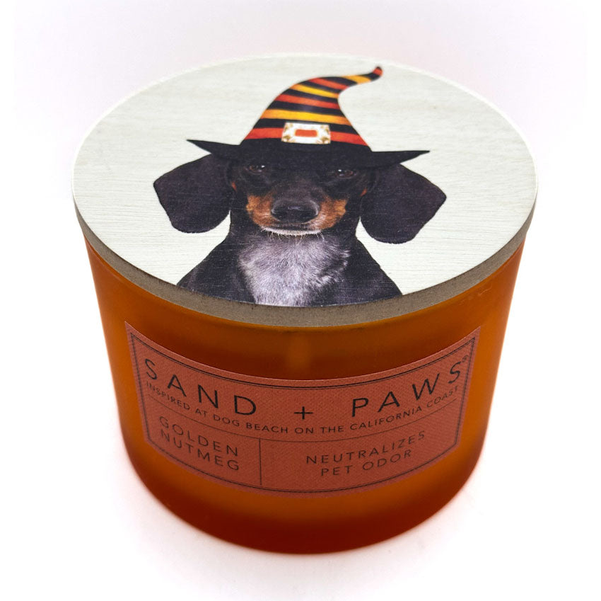 A candle in a cylindrical amber glass jar with a lid printed with a dachshund wearing a witch hat. The label reads 'SAND + PAWS' and 'GOLDEN NUTMEG'.