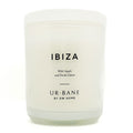 IBIZA - Wild Apple and Fresh Citrus Scented Candle | DW Home