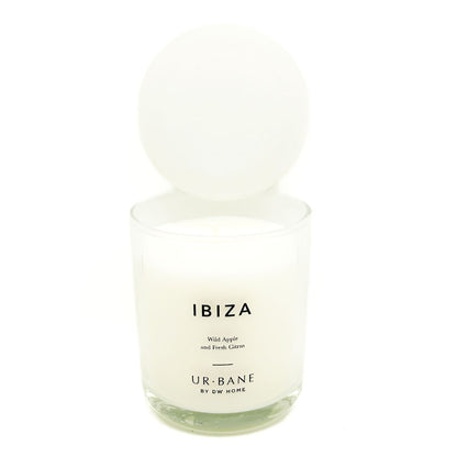 IBIZA - Wild Apple and Fresh Citrus Scented Candle | DW Home