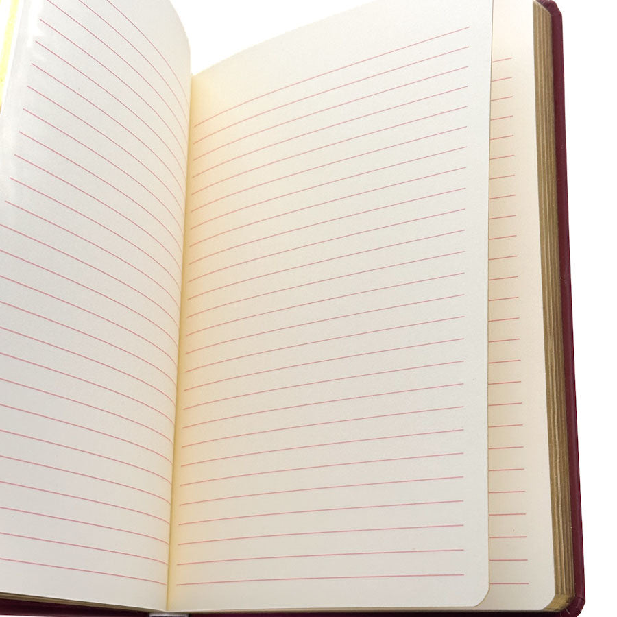 Lined notebook pages