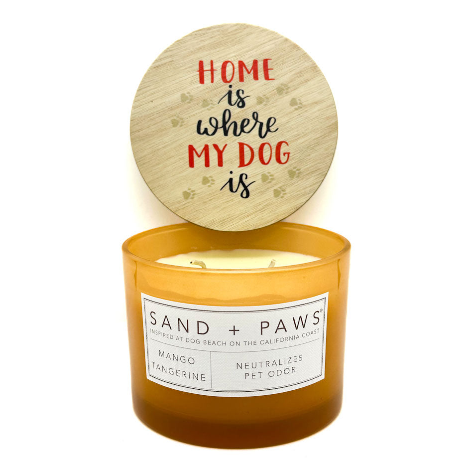 Mango Tangerine Scented Candle | SAND + PAWS