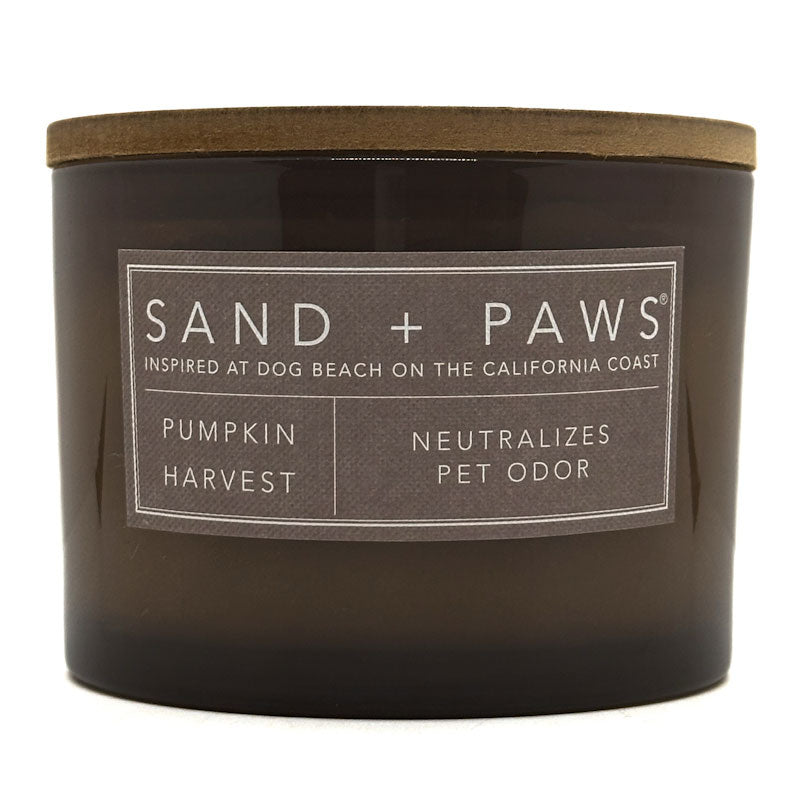 Pumpkin Harvest candle with 'Sand + Paws' label on a white background