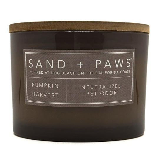 Pumpkin Harvest candle with 'Sand + Paws' label on a white background