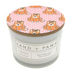 Pumpkin Harvest Scented Candle - SAND + PAWS