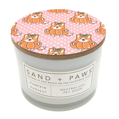 Pumpkin Harvest Scented Candle - SAND + PAWS