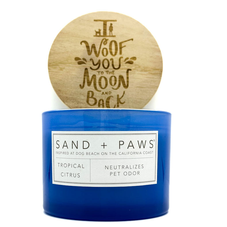 Tropical Citrus Scented Candle | SAND + PAWS - DOG EDITION