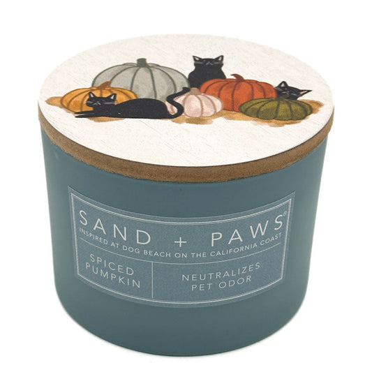 A teal blue jar candle with a wooden lid decorated with illustrations of black cats and pumpkins. The front label reads 'SAND + PAWS' and 'SPICED PUMPKIN'.
