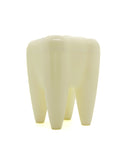 Toothbrush Holder - Tooth Shaped
