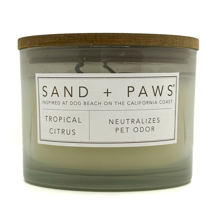 Tropical Citrus Scented Candle | SAND + PAWS - DOG EDITION