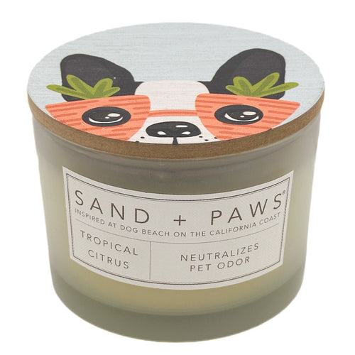 Tropical Citrus Candle with a cartoon dog face lid labeled 'Sand + Paws' on a white background