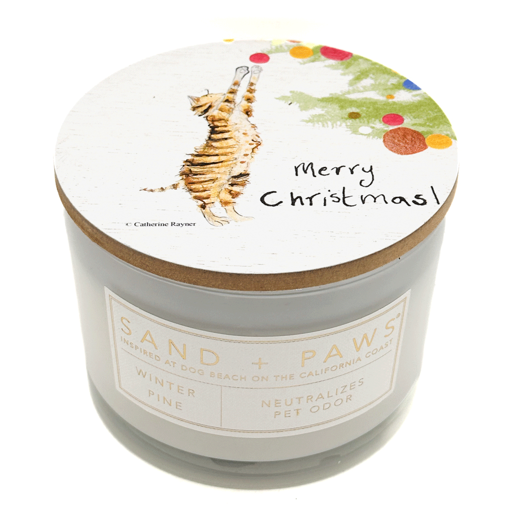 Winter Pine Candle with a cat on lid - SAND + PAWS